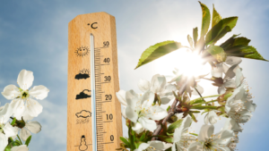 Ciclonul care lovește România! Răsturnare de situație de la ANM: se schimbă vremea, ce se întâmplă în weekendul de Florii