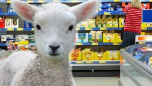 Veste uriașă de la Lidl! Serviciul care schimbă tot pentru clienți și prețul la carnea de miel care i-a îngrozit pe români