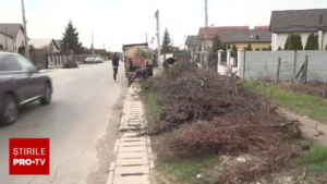 Gata cu focurile în grădină! Greșeala uriașă care le aduce românilor amenzi de 15.000 de lei. Ce trebuie să faci acum