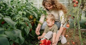 Secretul marilor grădinari pentru o recoltă uriașă: Ingredientul ieftin care transformă orice plantă din curtea ta!