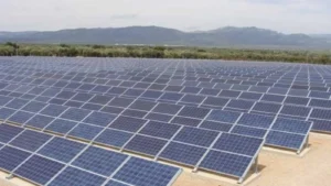 Lovitură de 200.000 de euro într-un parc fotovoltaic! Cine sunt cei 6 bărbați săltați de poliție imediat