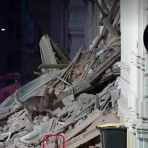 Final tragic în Germania. A doua româncă prinsă sub dărâmăturile clădirii din Gorlitz a fost găsită fără viață