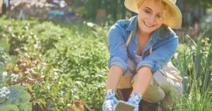 Planta care te scapă instant de melcii din grădină. Secretul grădinarilor iscusiți pentru o recoltă impecabilă