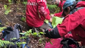 Miracol în Sibiu! Alexandru, băiețelul dispărut în pădure, găsit viu după 48 de ore. Tatăl a izbucnit în hohote de plâns
