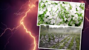 Adio, soare! ANM a făcut anunțul: Se strică vremea în România, vin furtunile electrice. Ce se întâmplă în iunie!