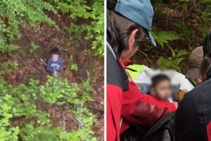 Cum s-a salvat Alexandru, băiețelul de 5 ani pierdut în pădure. Medicii au rămas uimiți: „Nu i-a fost…”