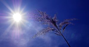 România, lovită de un val tropical! ANM a emis prognoza meteo pentru următoarele două săptămâni
