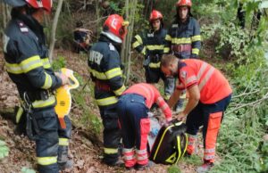Accident mortal în pădure! Un bărbat a murit dupa ce o cracă i-a picat în cat