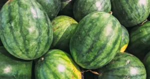 Secretul pentru un pepene dulce ca mierea! Uită-te la acest detaliu de pe coajă înainte să-l cumperi