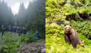 Clipe de groază pe munte! 37 de turiști polonezi, salvați de jandarmi după ce s-au întâlnit cu o ursoaică