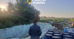 Nu o să crezi unde era ținută varza murată! Polițiștii au rămas mască când au văzut ce era în gropile din Dâmbovița